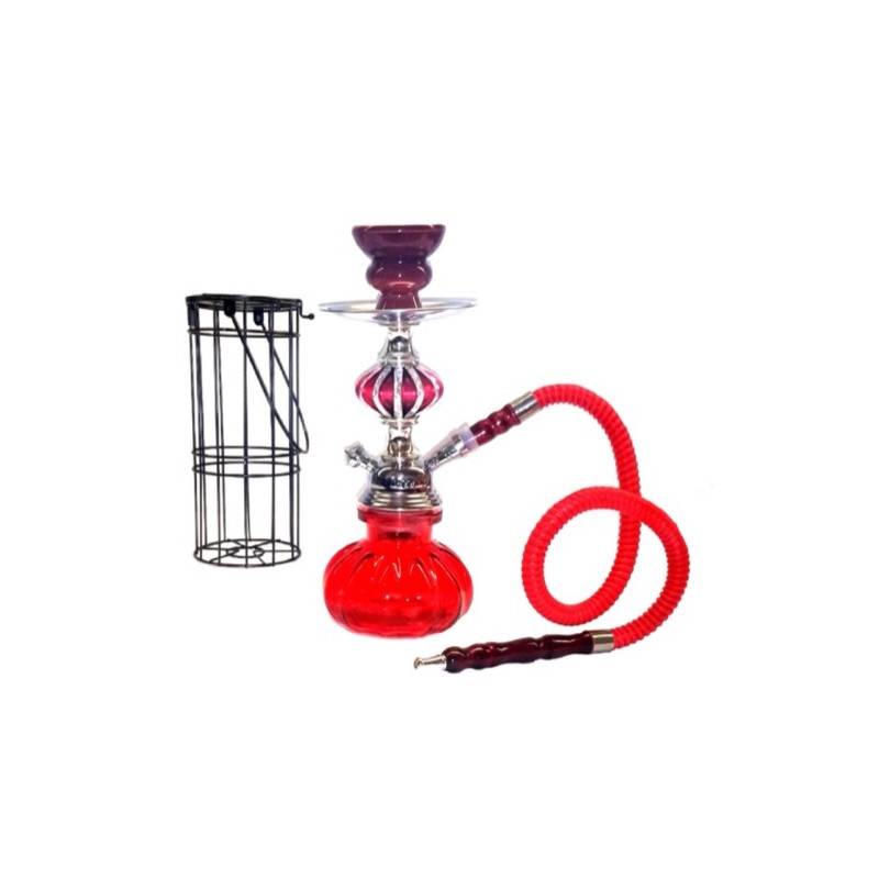 Zebra X4 1 Hose with Cage Hookah
