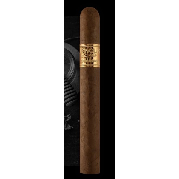 CAO Gold Honey Corona 20/BX