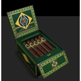 CAO Brazilia 20/BX