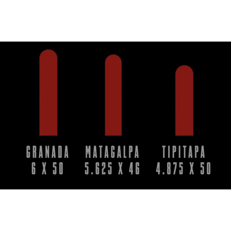 CAO Nicaragua Tipitapa 20/BX Cigars