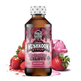 TreHouse Magic Mushroom Syrup 6PK