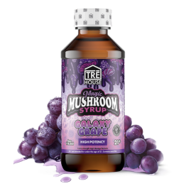 TreHouse Magic Mushroom Syrup 6PK