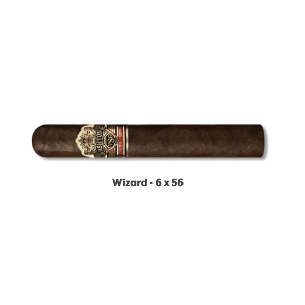 Ashton VSG