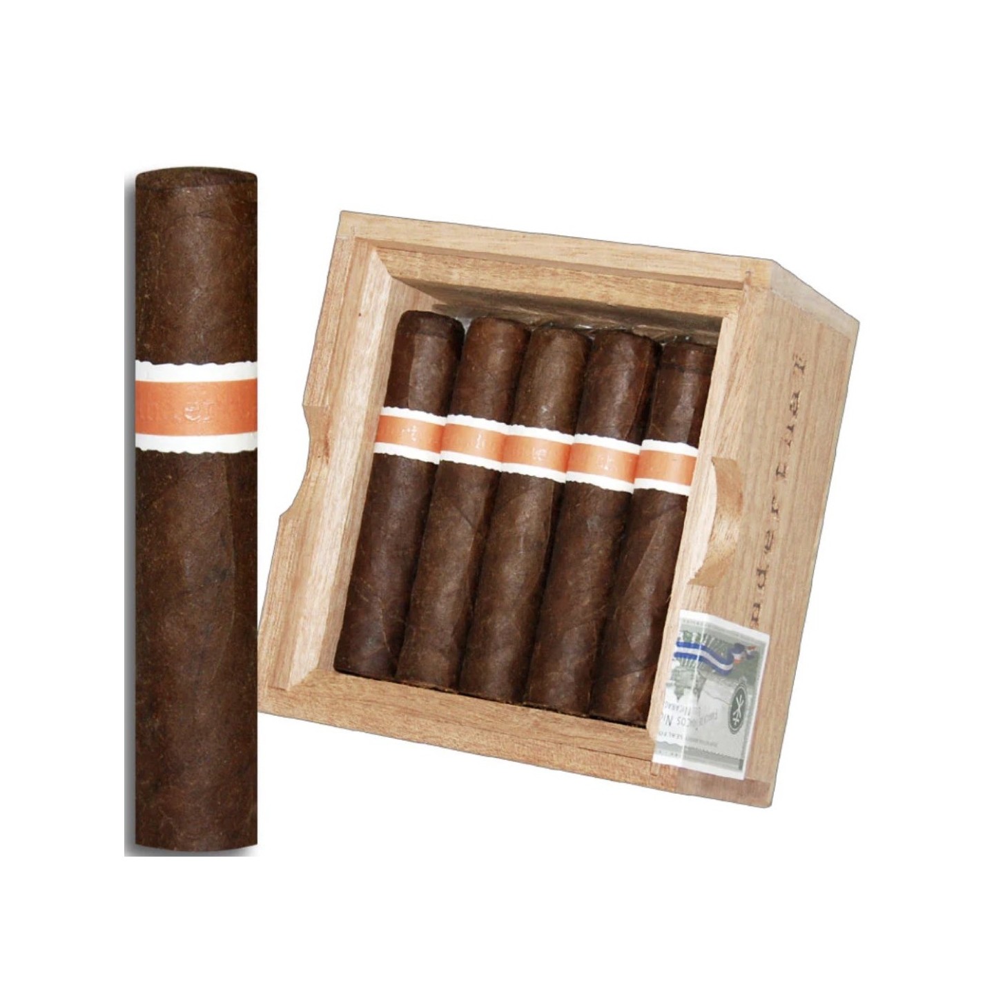 Roma Craft Neanderthal HOXD 15/BX