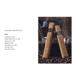 Rocky Patel Java Maduro the 58 24/bx