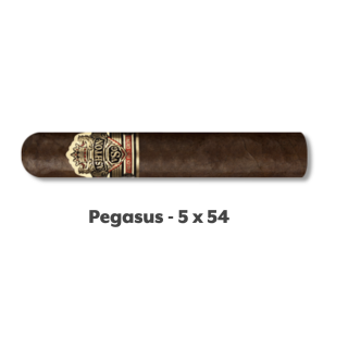 Ashton VSG Pegasus 20/BX