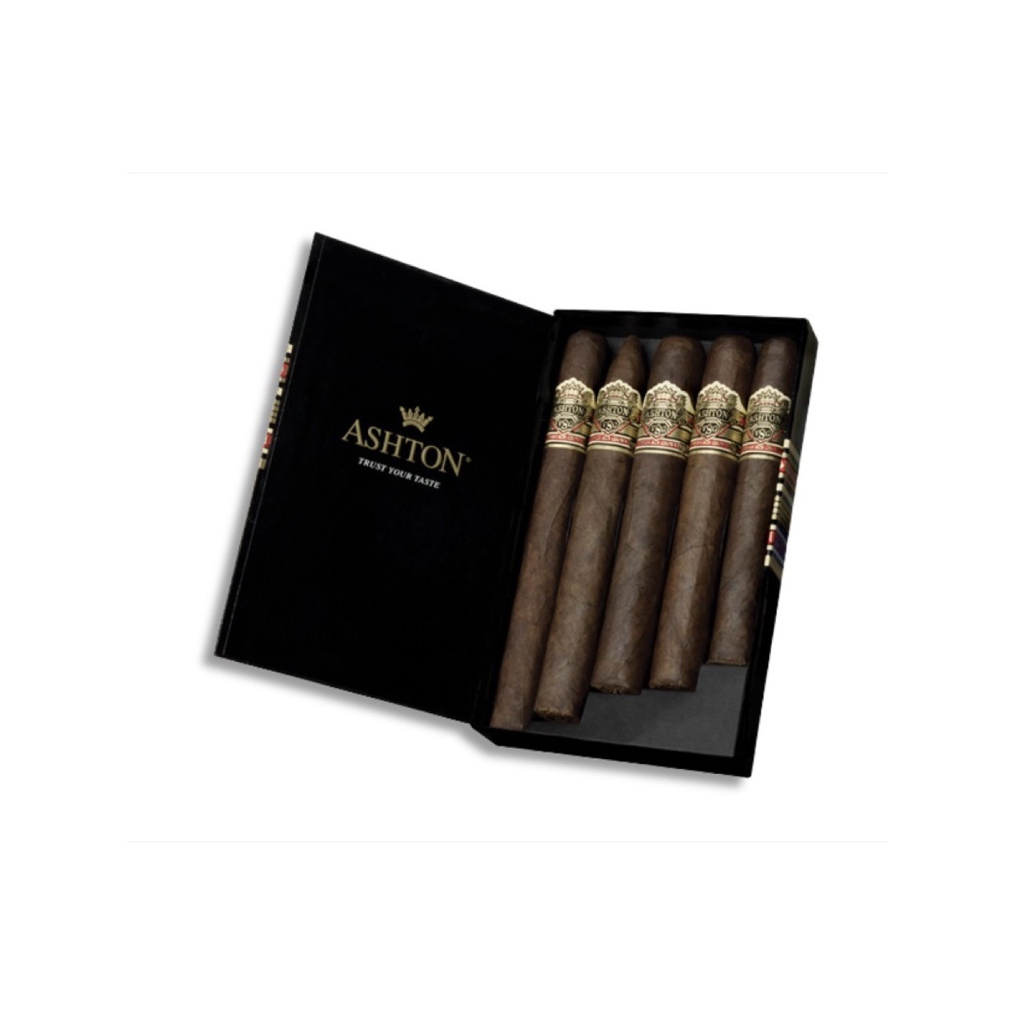 Ashton VSG Sampler Black Box 5/BX