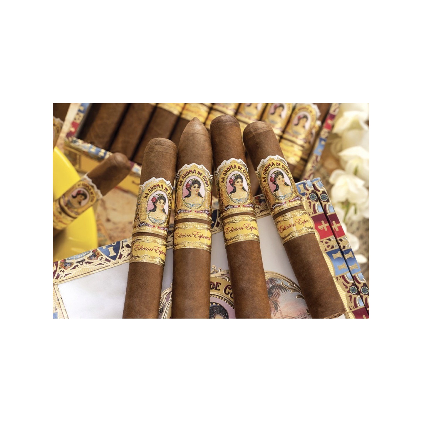 La Aroma De Cuba Edicion No 5 25/BX