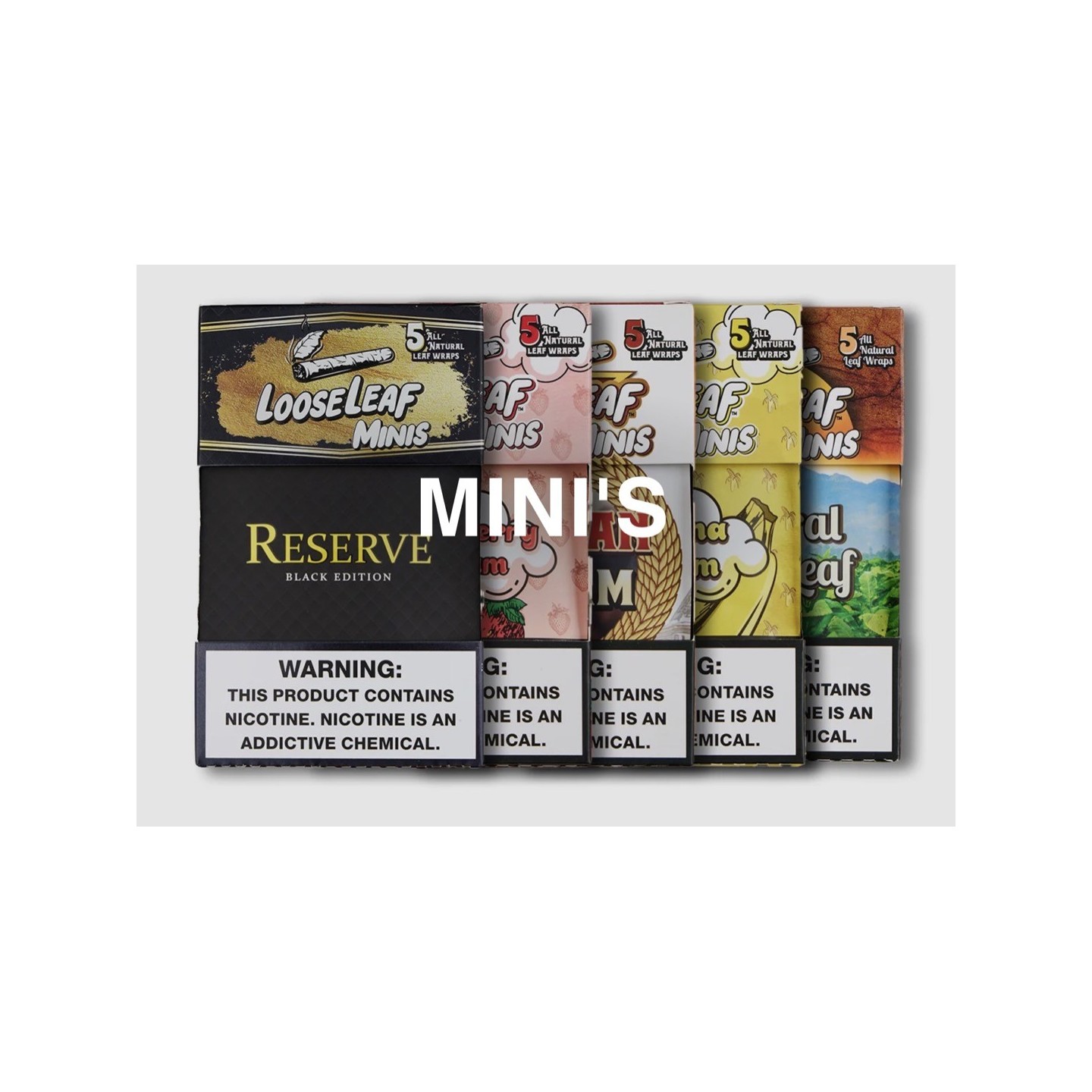 Loose Leaf Minis 8/5PK