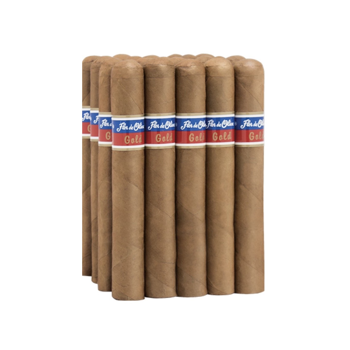 Flor Gold Churchill 7X50 20/BX