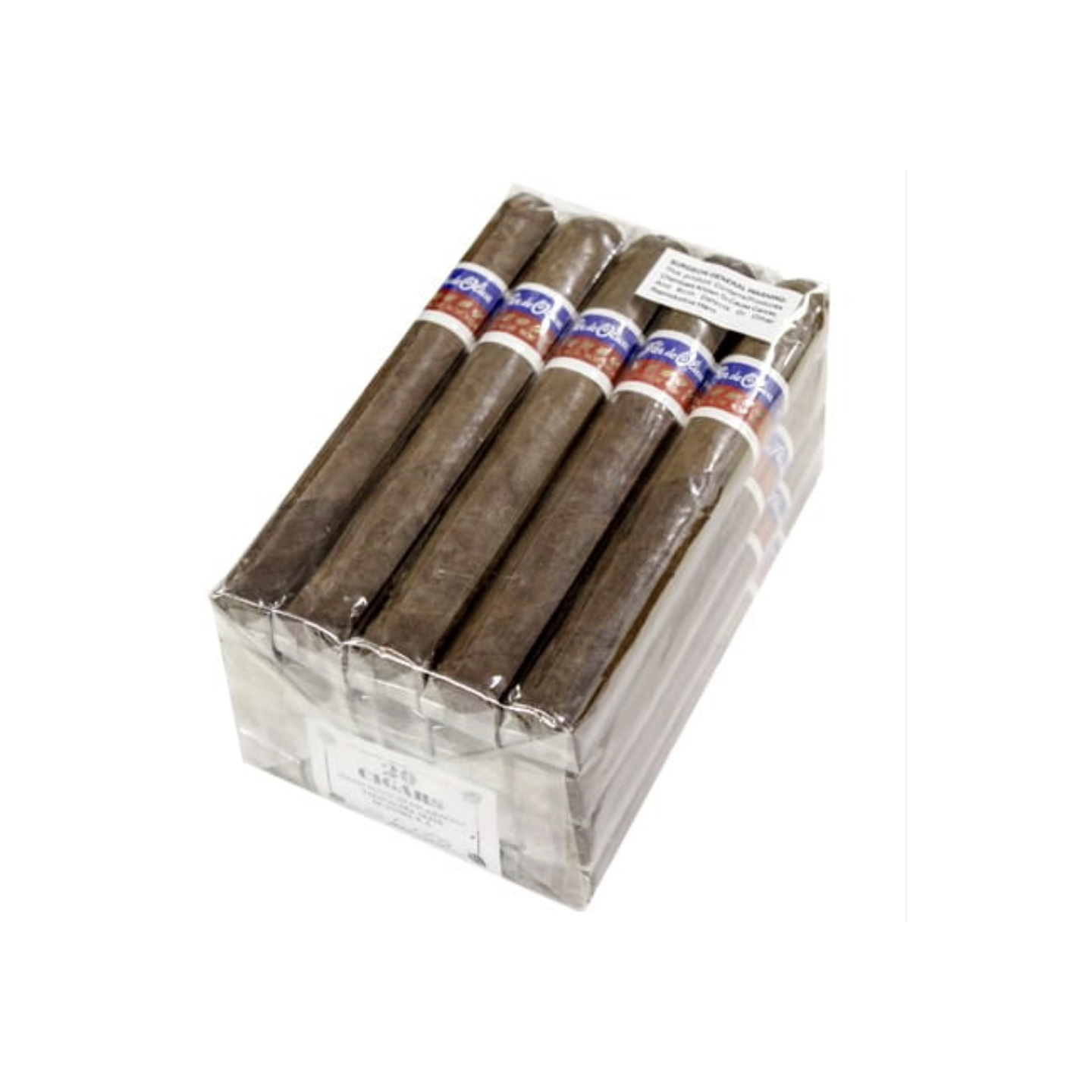 Flor Churchill 7X50 20/BX