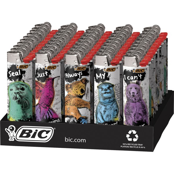 BIC Lighter Designs