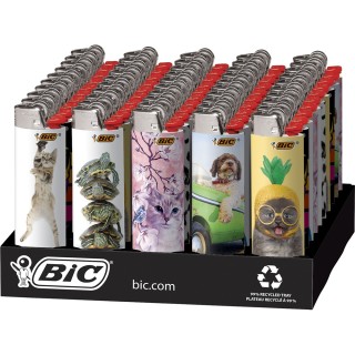 BIC Lighter Designs