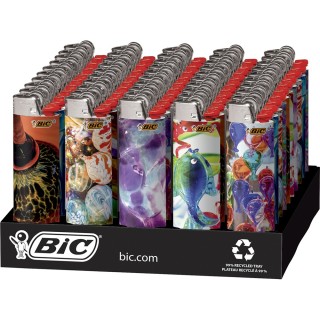 BIC Lighter Designs