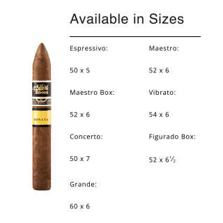 Aging Room Quattro Nic Sonta Vibrato 20/BX