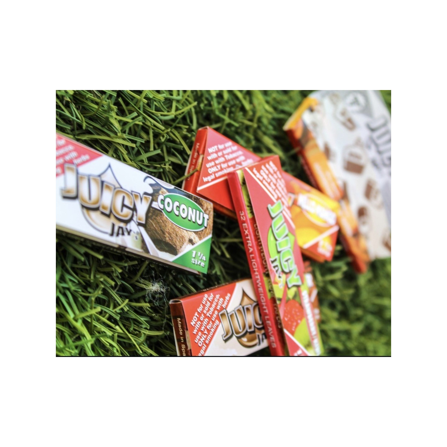 Juicy Jays Paper 1 1/4 24PK-32CT