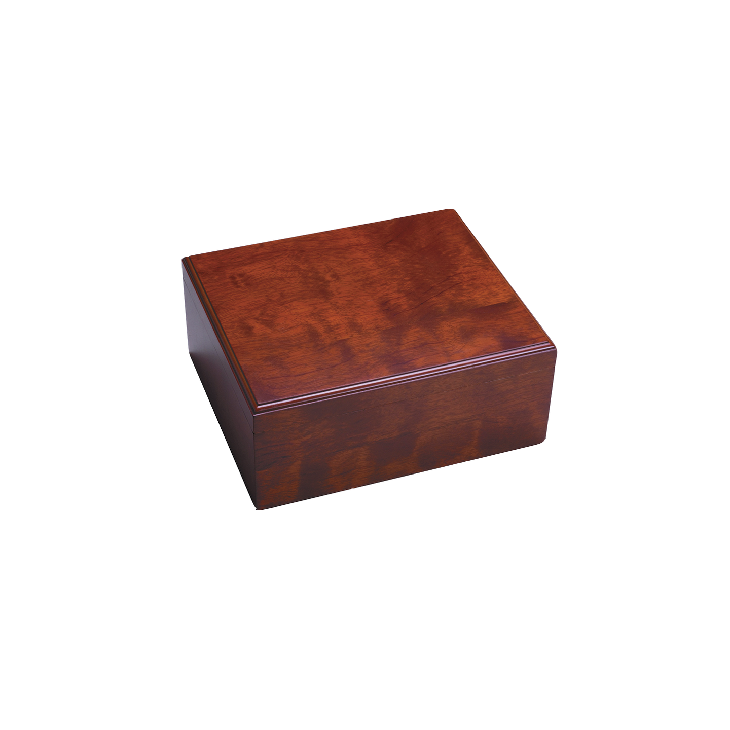 Craftsmans Bench Champion Humidor Holds 65