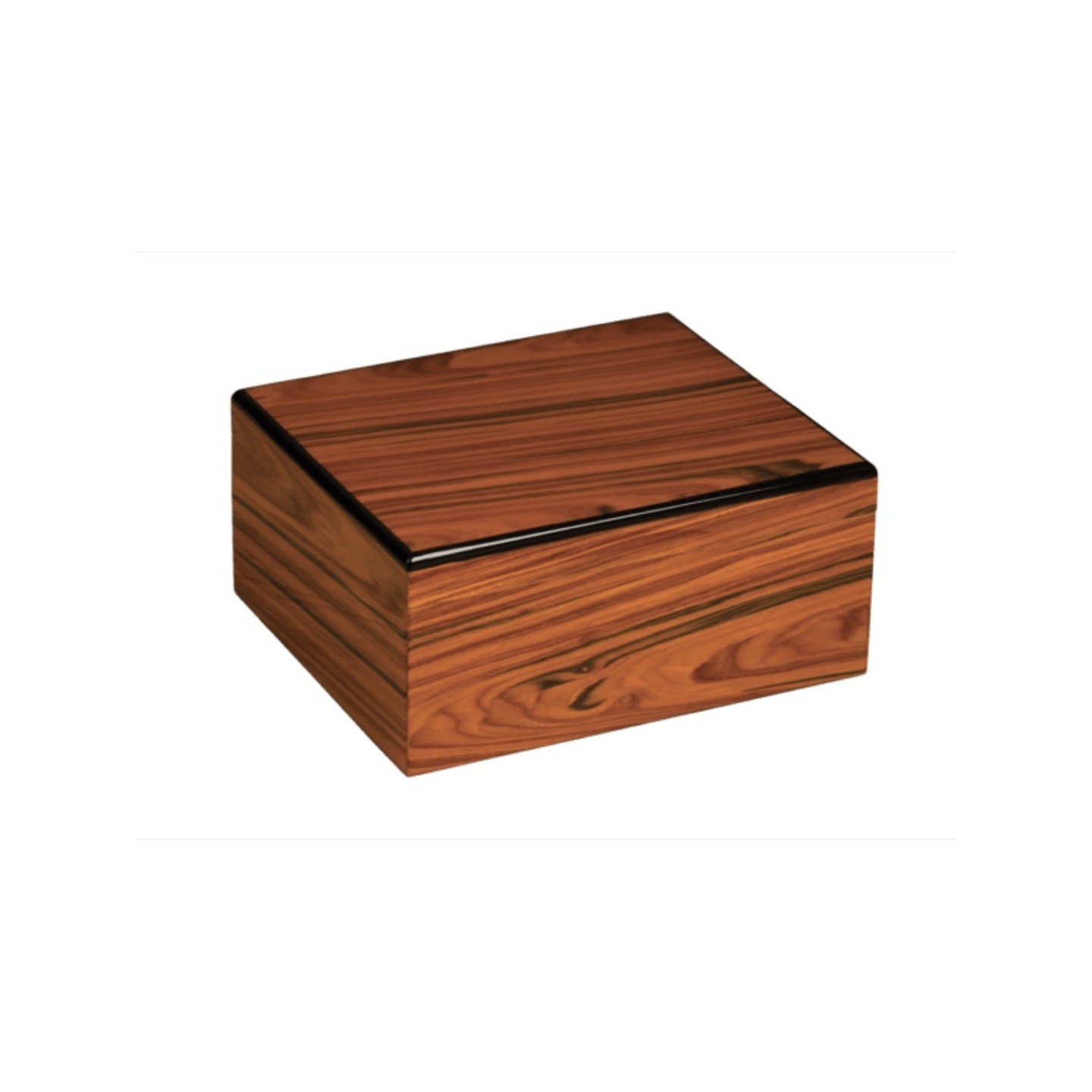 Craftsmans Bench Saxon Humidor Holds 65