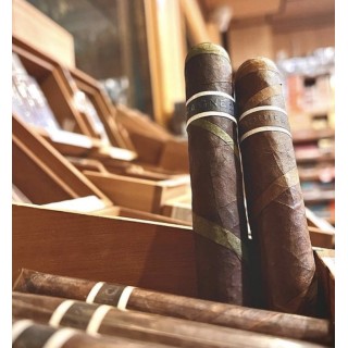 Roma Craft Aquitaine Cranium 24/BX