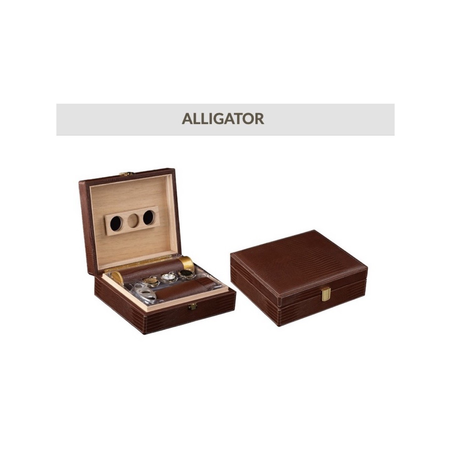 Alligator Brown Leather Humidor 20CT