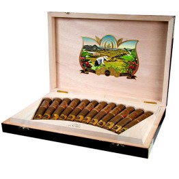 Oliva Serie V 135 Aniversario 12/BX