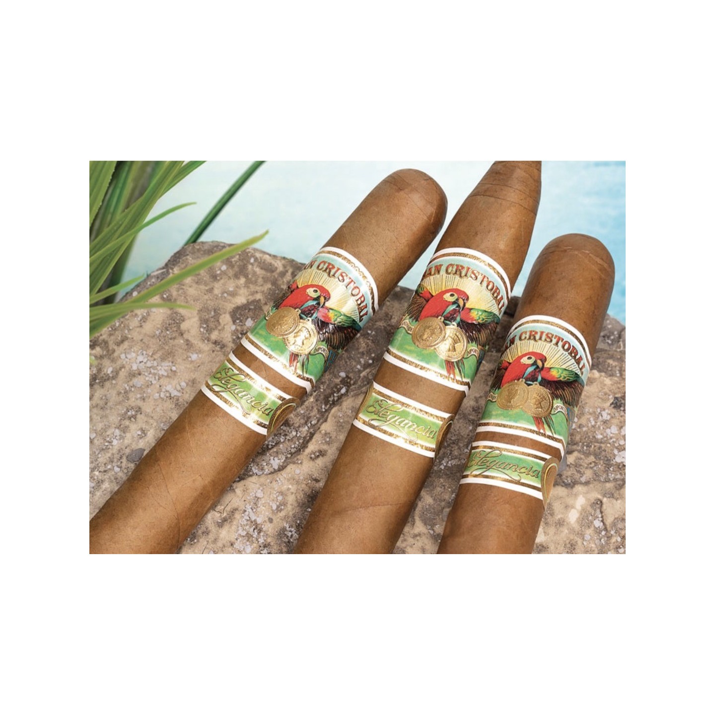 San Christobal Elegancia 25/BX Imperial