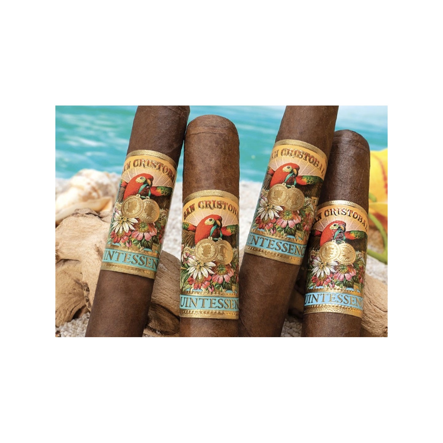 San Christobal Quintessence 24/BX Epicure