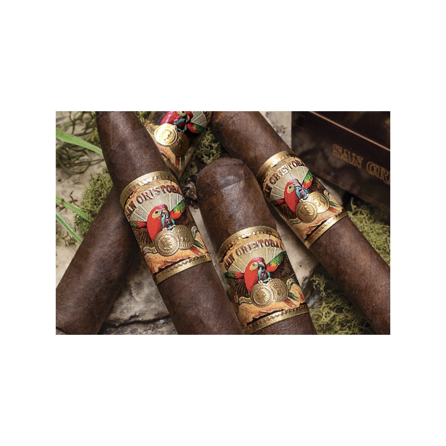 San Christobal 24/BX Clasico