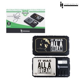 BIG Guardian Scale 100G X .01