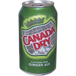 Canada Dry Safe Can 12OZ