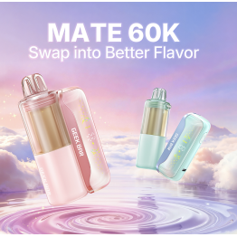 Geek Bar Mate Kit 60K