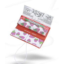 Juicy Jays Connoisseur Paper 1 1/4 24PK